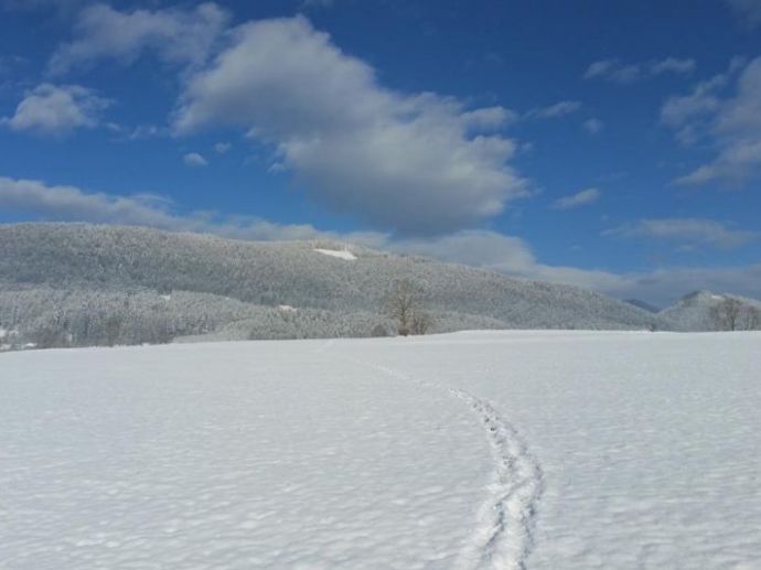 Wandern in der Winterlandschaft der Steiermark