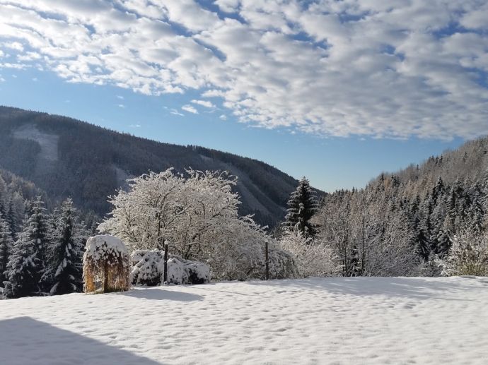 Der Schnee funkelt in der Sonne beim Landhaus Kurzen