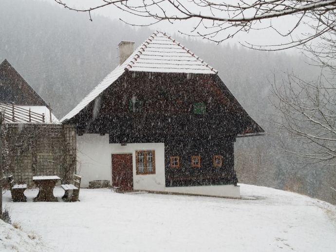 Juhuu es schneit, Urlaub im Landhaus Kurzen