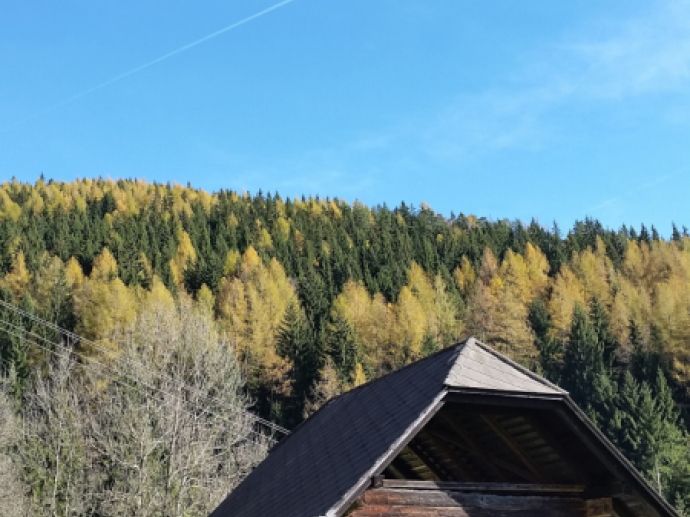 Herbst auf der Alm