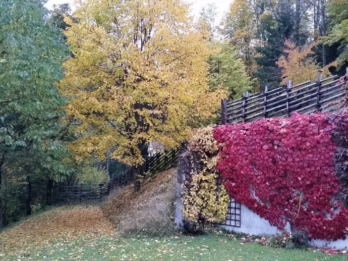 die Farben des Herbstes geniesen beim Urlaub im Landhaus Kurzen