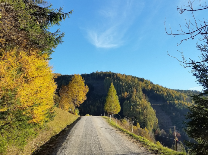 bunte Herbstlandschaft auf der Anfahrt zum Landhaus Kurzen