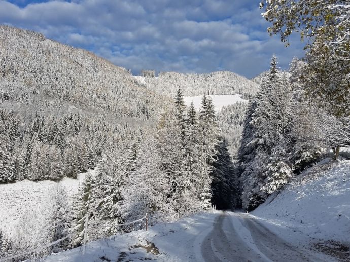 winterliche Anfahrt zum Landhaus Kurzen