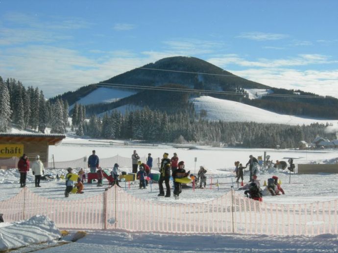 Schlitten fahren auf der Teichalm in der Steiermark