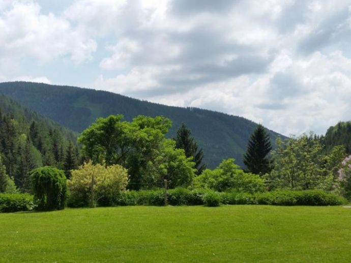 Saftige grüne Wiesen, dichte Wälder und das Hotel Kurzen im Almenland