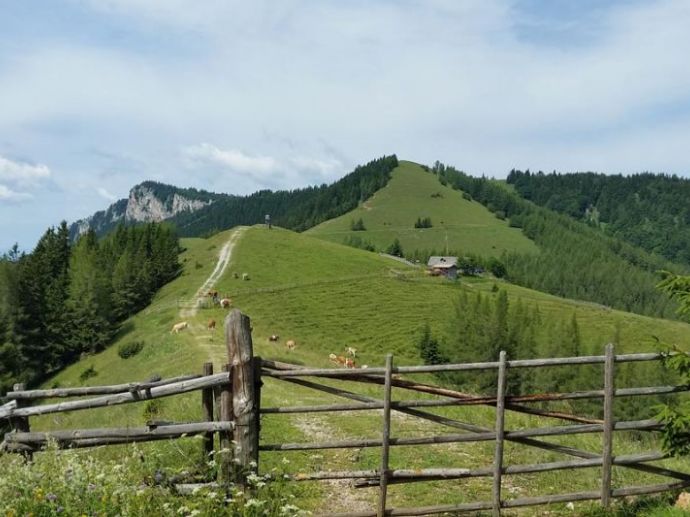 Wunderschönes Wandergebiet rund um das Landhaus Kurzen im Grazer Bergland