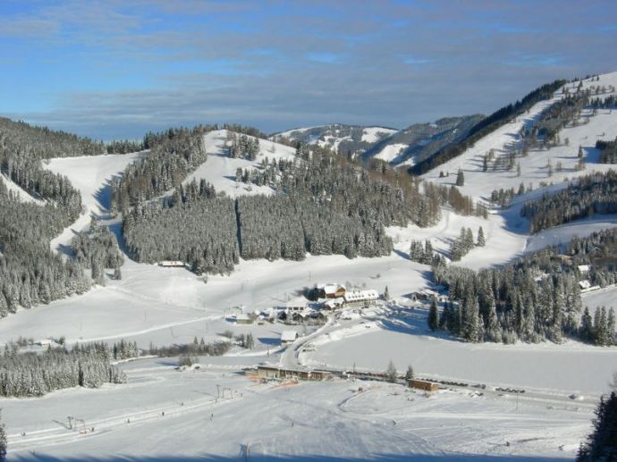 Langlaufen in der winterlichen Idylle im Almenland